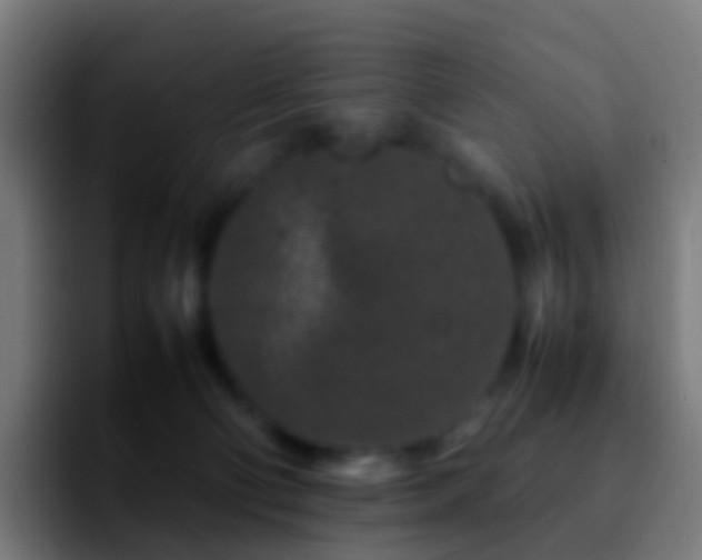 X0000092270130200709211144
