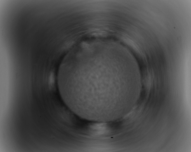 X0000092270132200709211144