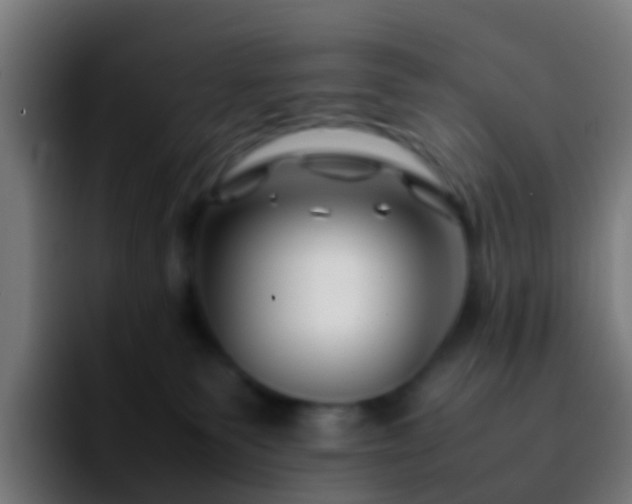 X0000092270135200709211144