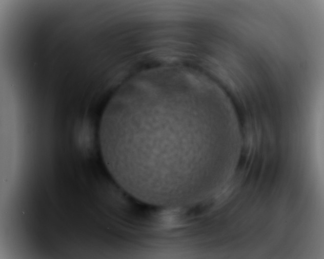 X0000092270136200709211144