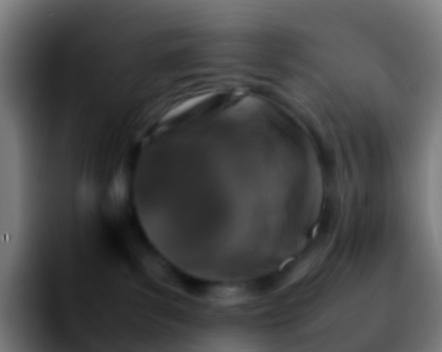 X0000092270139200709211144