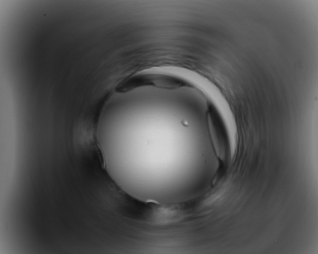 X0000092270141200709211144