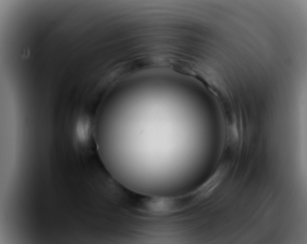 X0000092270142200709211144