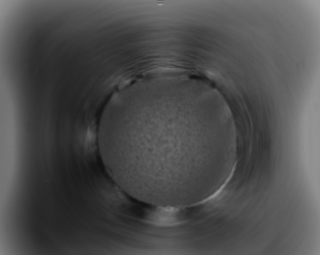 X0000092270144200709211144