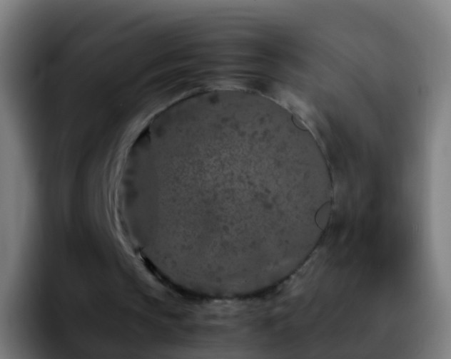 X0000092270145200709211143