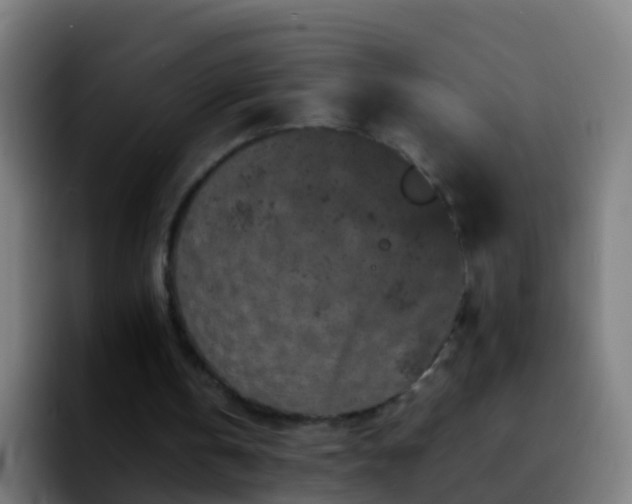 X0000092270146200709211143