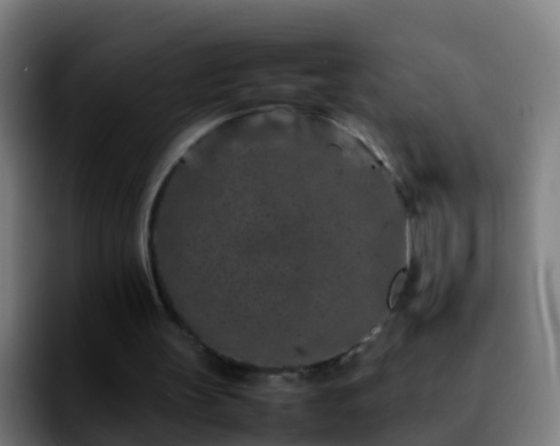 X0000092270147200709211143