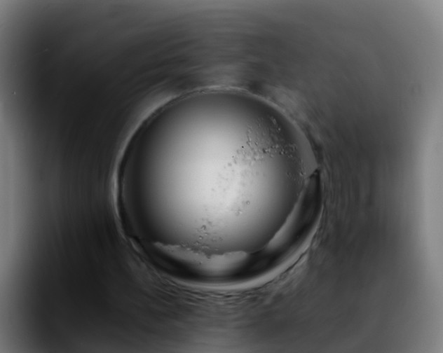 X0000092270148200709211143