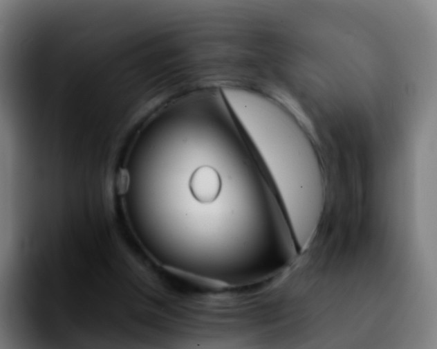X0000092270154200709211143