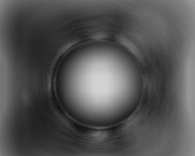 X0000092270155200709211143