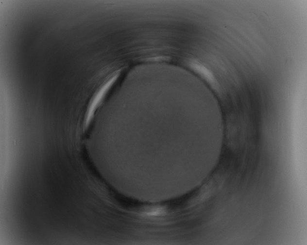 X0000092270161200709211143