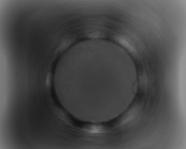 X0000092270165200709211143
