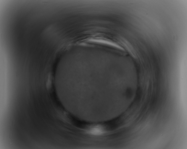 X0000092270169200709211143