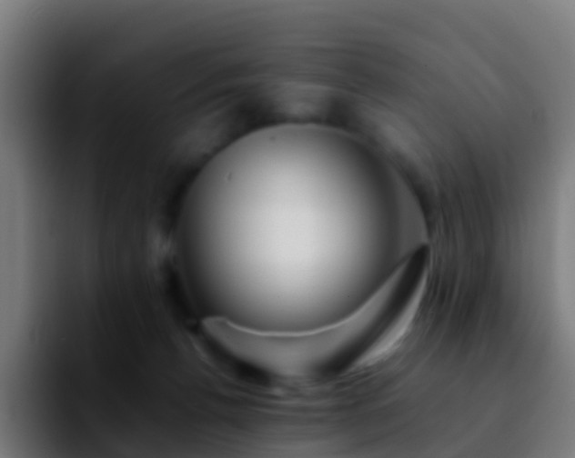 X0000092270176200709211143
