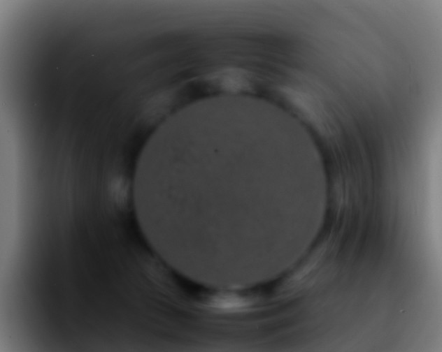 X0000092270177200709211143