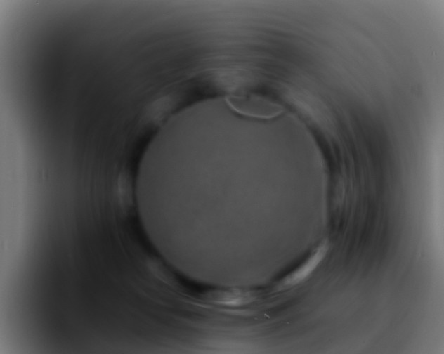 X0000092270182200709211143