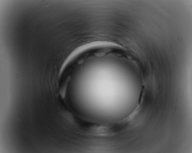 X0000092270186200709211144