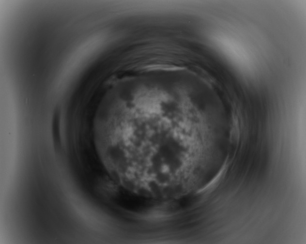 X0000092270191200709211144
