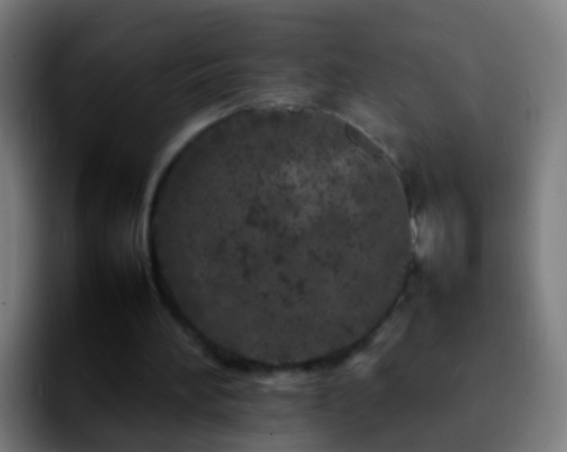 X0000092270196200709211143