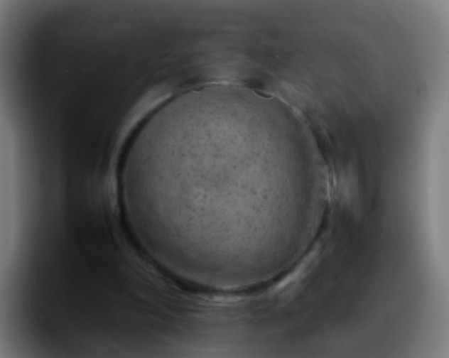 X0000092270198200709211143