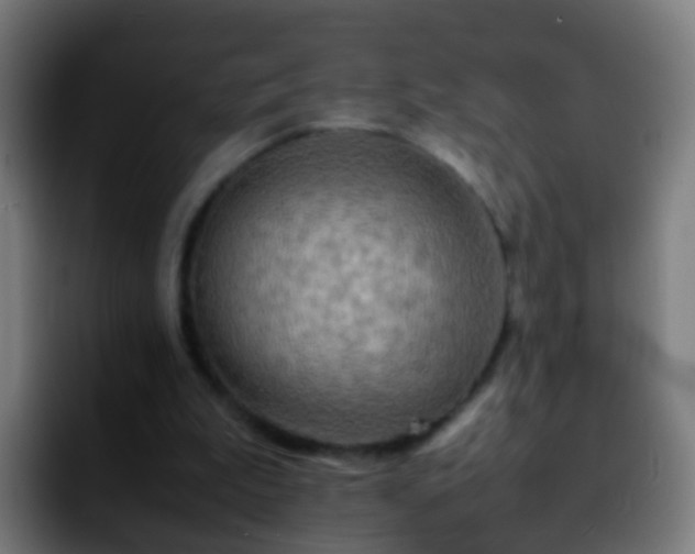 X0000092270199200709211143