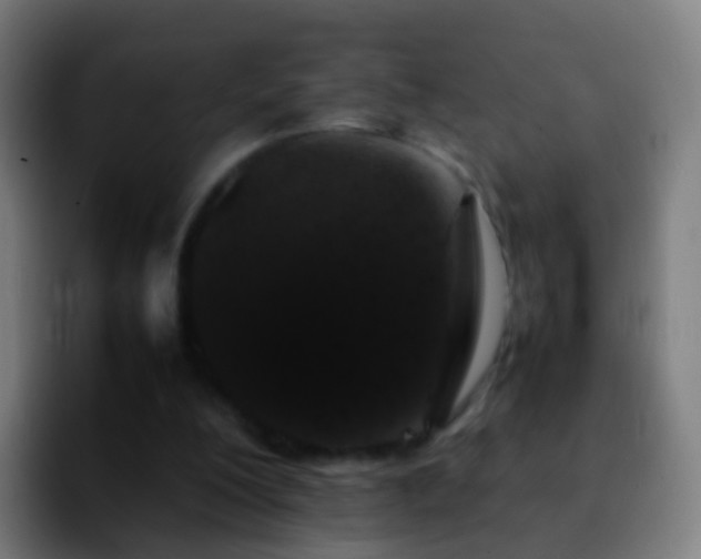 X0000092270200200709211143