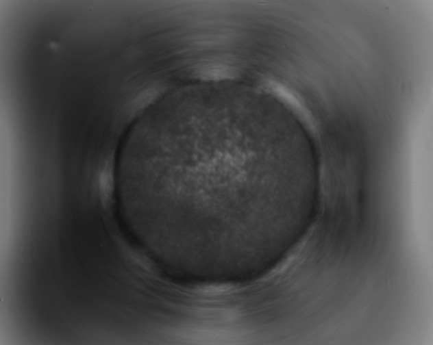 X0000092270202200709211143