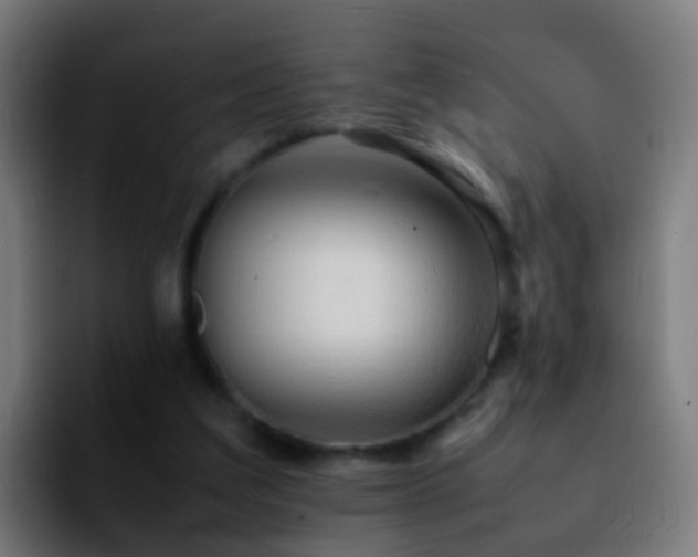X0000092270203200709211143