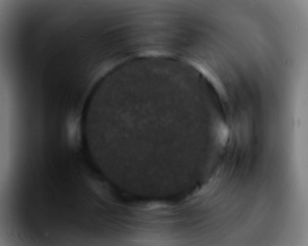 X0000092270204200709211143