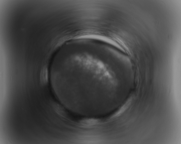 X0000092270205200709211143