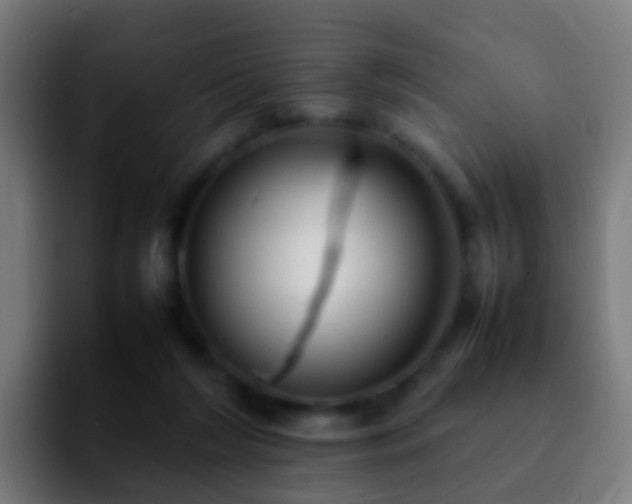 X0000092270212200709211143