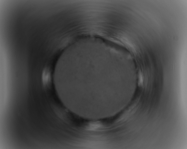X0000092270214200709211143
