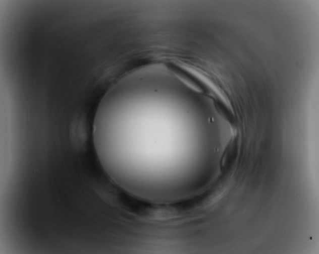 X0000092270215200709211143