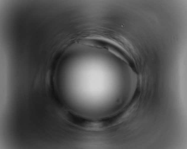 X0000092270217200709211143
