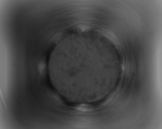 X0000092270222200709211143
