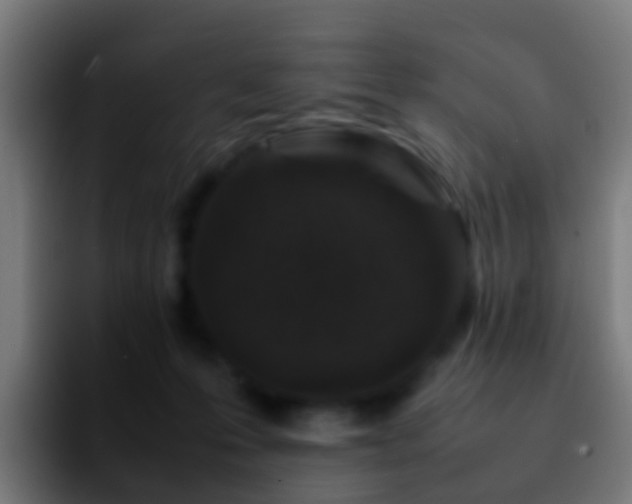 X0000092270223200709211143