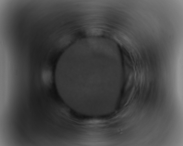 X0000092270224200709211143