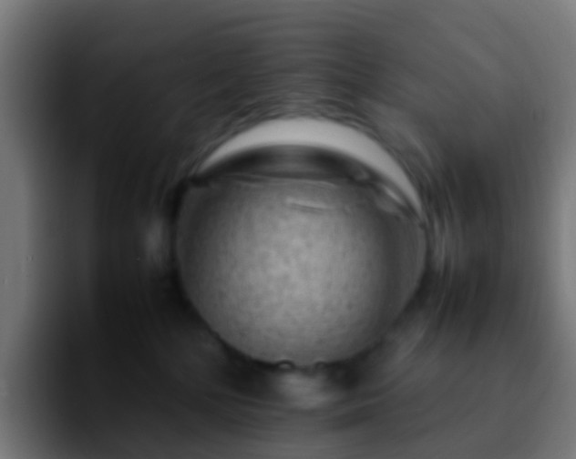 X0000092270232200709211143