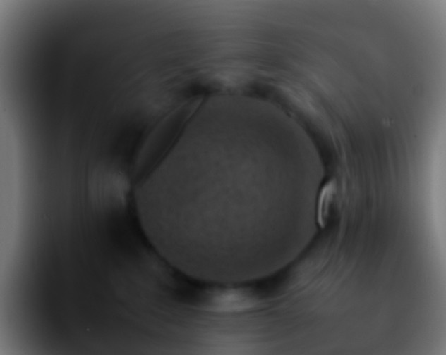 X0000092270235200709211143