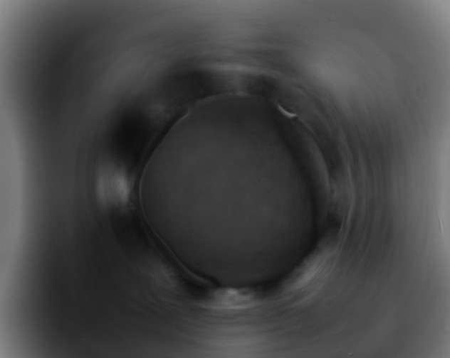 X0000092270239200709211142