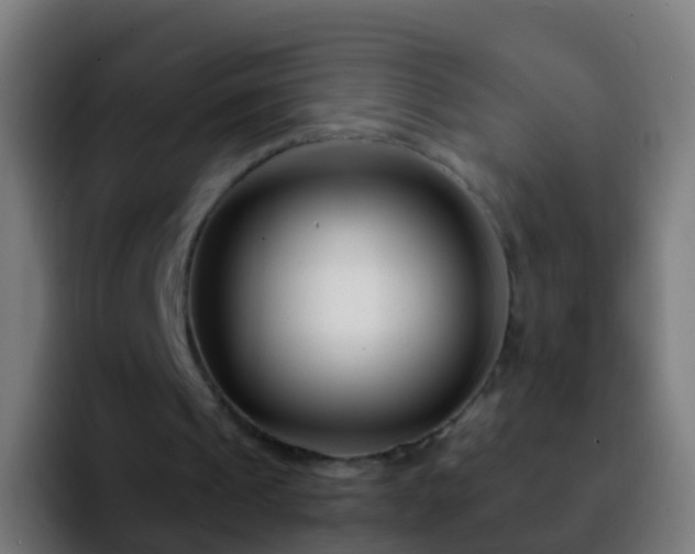 X0000092270241200709211142