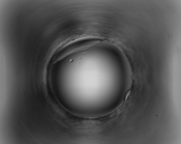 X0000092270242200709211142