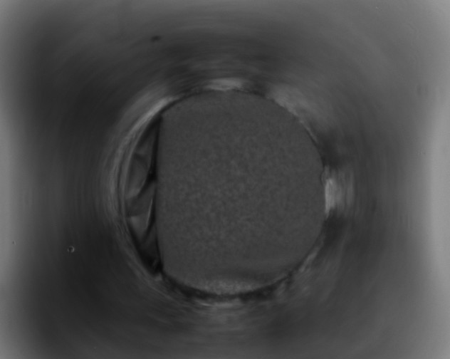 X0000092270243200709211142