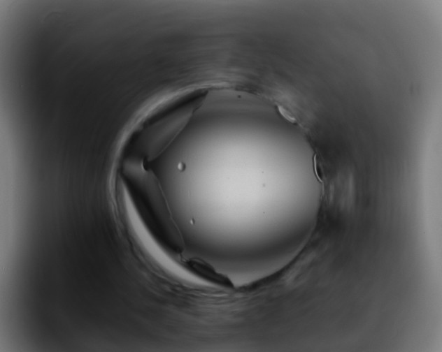 X0000092270244200709211142