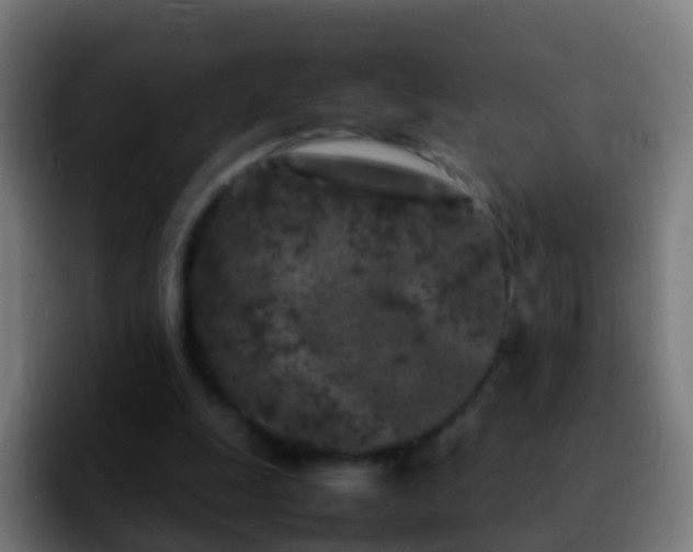X0000092270247200709211142