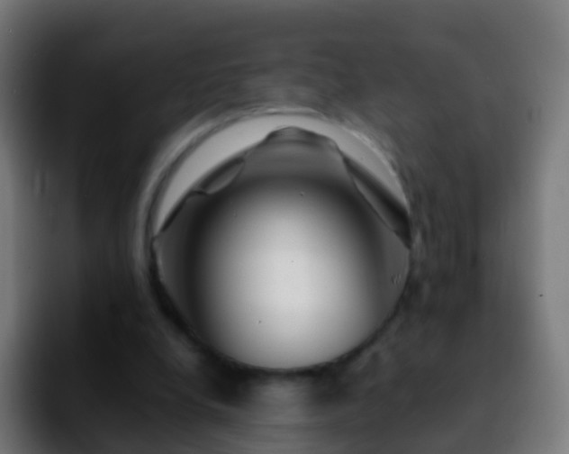 X0000092270248200709211142
