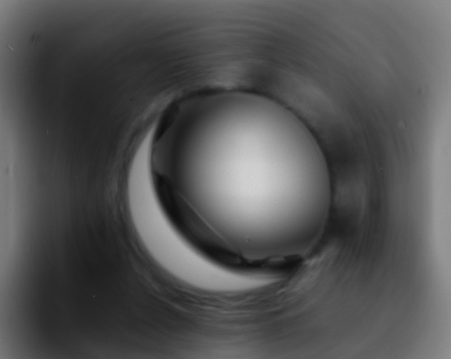 X0000092270256200709211142