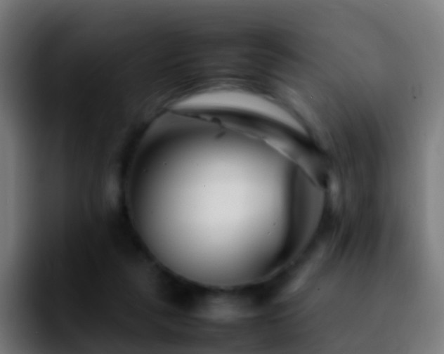 X0000092270259200709211142
