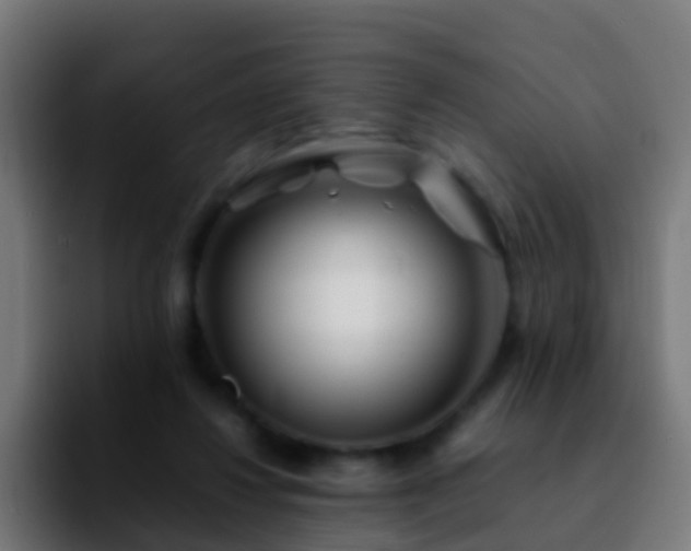 X0000092270260200709211142