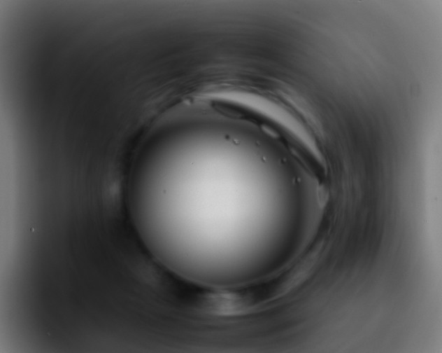 X0000092270265200709211142